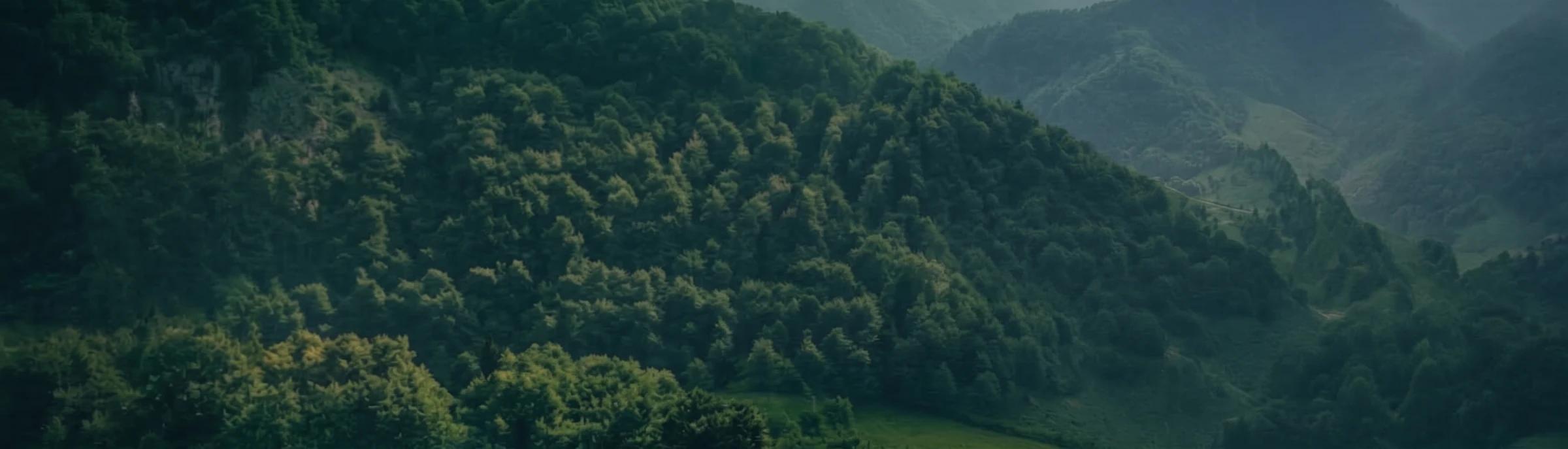 چشماندازی از جنگلها و کوههای ایران، همراه با نقشهٔ استانهای تحت پوشش
